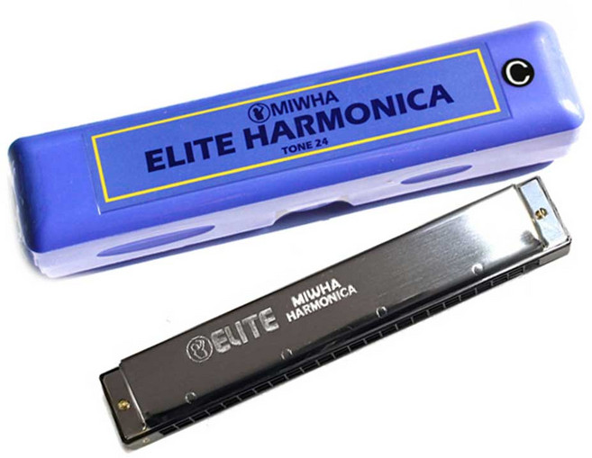 엘리트 C키 하모니카 24홀 트레몰로 복음 학교 교육용 입문용 연습용, 1개
