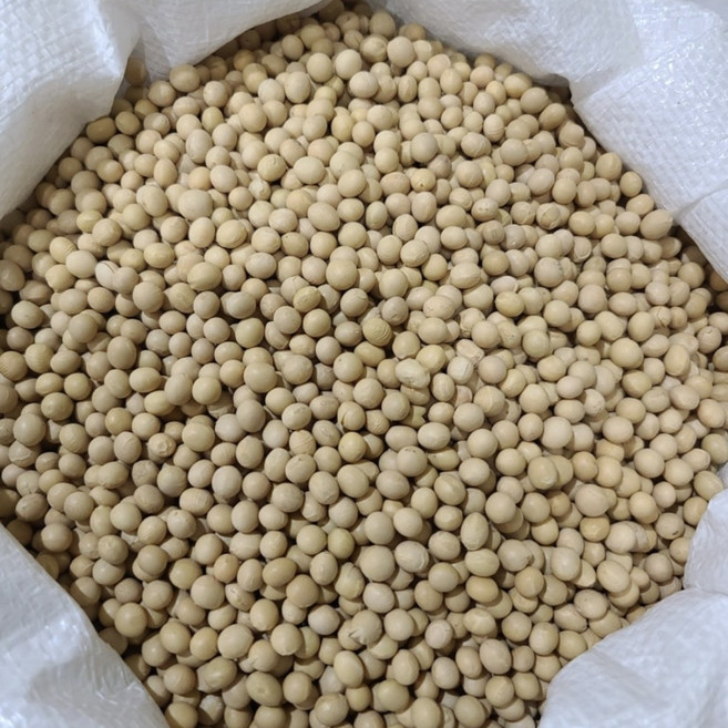 영원농산 25년산 중국산 백태 메주콩 20kg, 1개