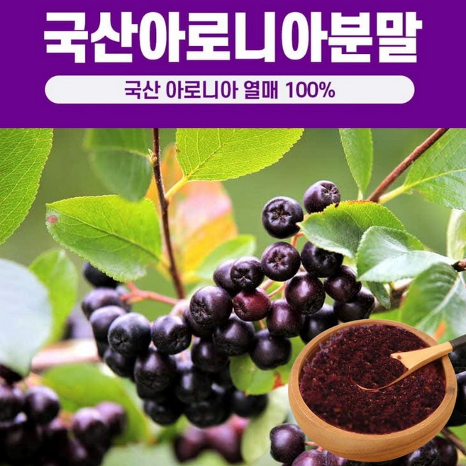 아로니아분말 국산 아로니아 가루 킹스베리 초크베리 파우더 안토시아닌 효능 추천 국내산 100% 대용량, 200g, 2개