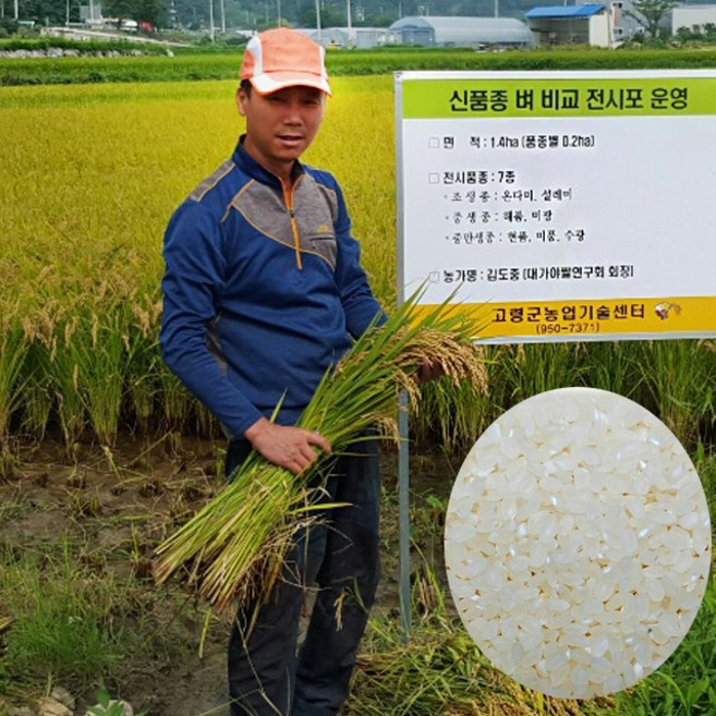 장현식품 햅쌀 삼광 백진주 향철아 4kg 10kg, 1개, 등급 없음, 향철아4kg(2024년)