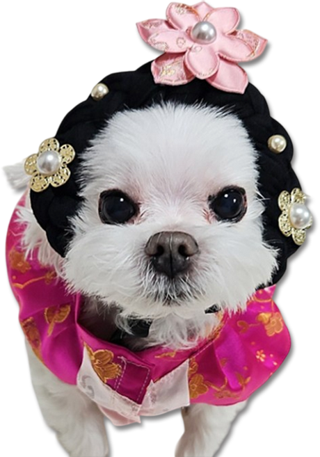 멍멍이룩 강아지가채 강아지한복, 핑크, 1개