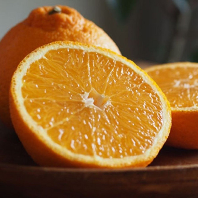 벌꿀향기 오렌지맛 프리미엄 제주 한라봉, 1박스, 10kg(가정용-중소과)