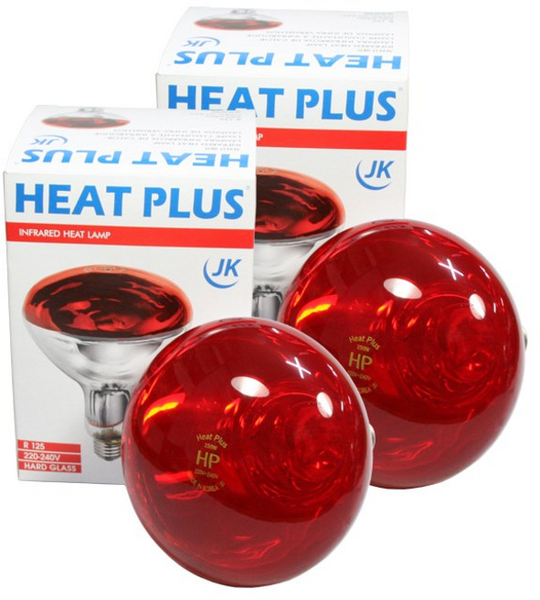 히트플러스 국산 열전구 조사기전구 IR 적외선램프 적외선전구 250W, 적외선, 2개