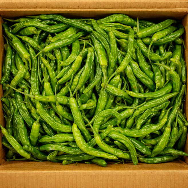 국내산 꽈리고추 햇 안매운 특품 최상품, 1개, 500g