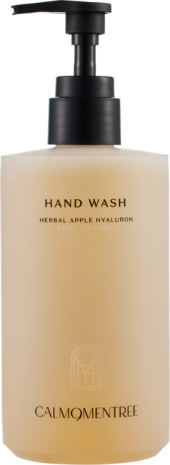 캄모멘트리 허벌 애플 히알루론 보습 핸드워시 450ml/건성 튼손 보습 천연향, 450ml, 1개