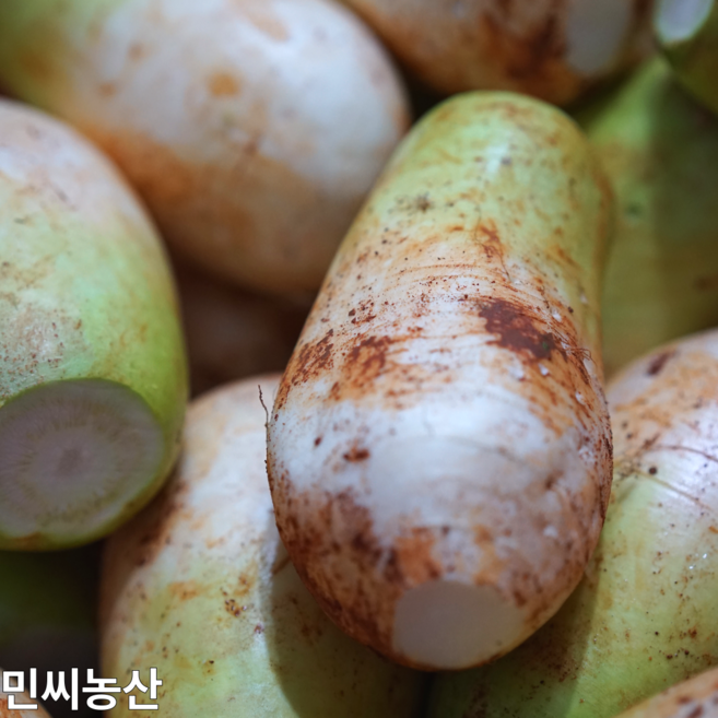 민씨농산 강원도 알타리 총각무 산지 직송 프리미엄 품질, 1박스, 15kg