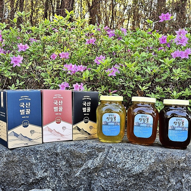 설악산 사양벌꿀 2.4kg 천연 밤 잡화 아카시아 3종 꿀물 잡화벌꿀, 잡화꿀