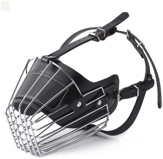 대형견입마개 대형견입마개리트리버