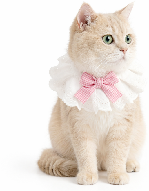 렛츠독 고양이 강아지 하이디 공주 레이스 체크리본 스카프 턱받이, 1개, 핑크체크