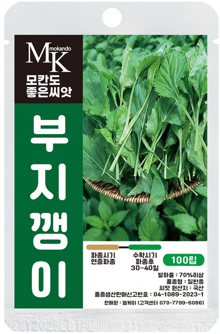 모칸도 좋은씨앗 부지깽이 씨앗 100립 참취 쑥부쟁이 향나물 산나물 나물씨앗, 1개