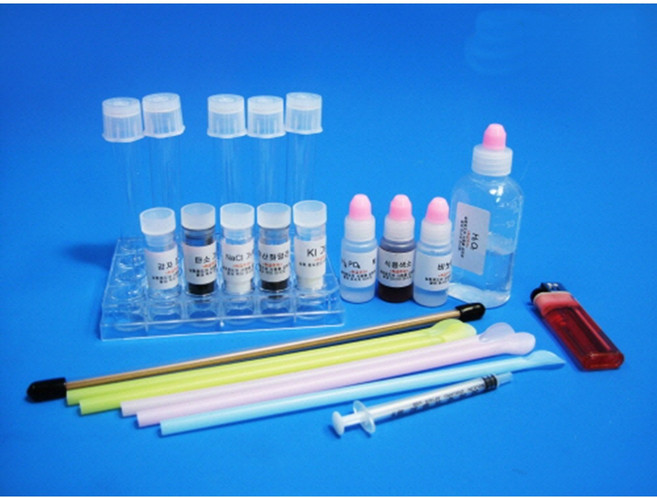 촉매에따른 과산화수소 분해반응실험 4인1조, 1개