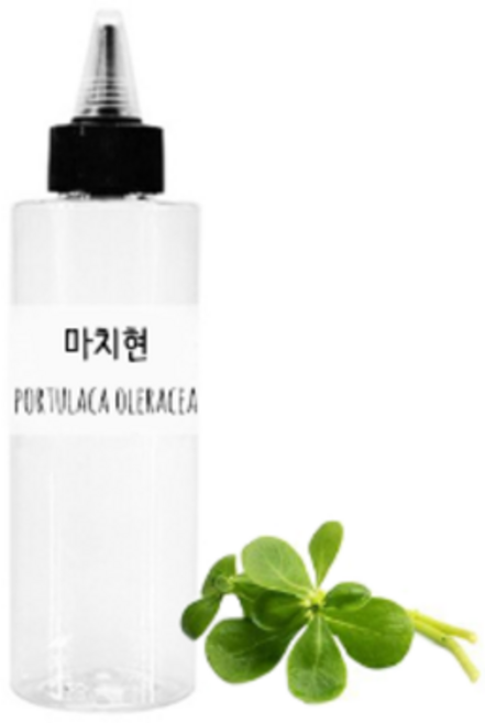 드그라쎄 원액 100%, 마치현 추출물, 50ml, 1개
