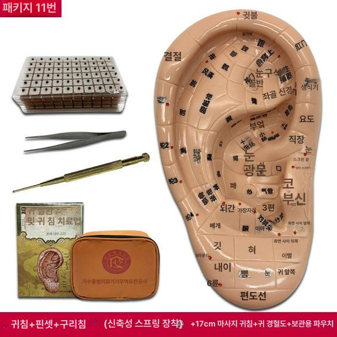 대형 지압점 귀모형 교육용 및 모델 교육 귀, 17 귀 풀세트, 1개, 1cm