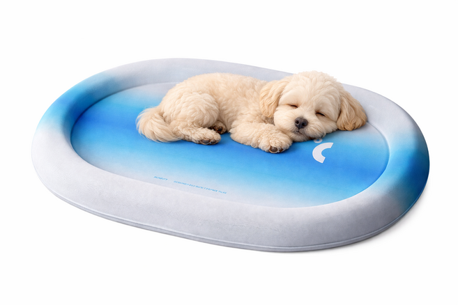 반려동물 쿨매트 고양이 강아지 젤 충전재 아이스 쿨링 여름 방석, 1개, 블루