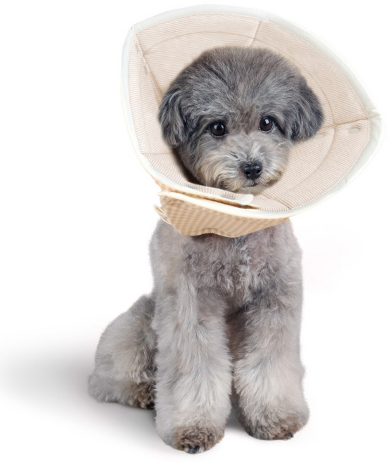 자연생각 개놀자 오가닉 펜타곤 넥카라, 브라운st, 1개