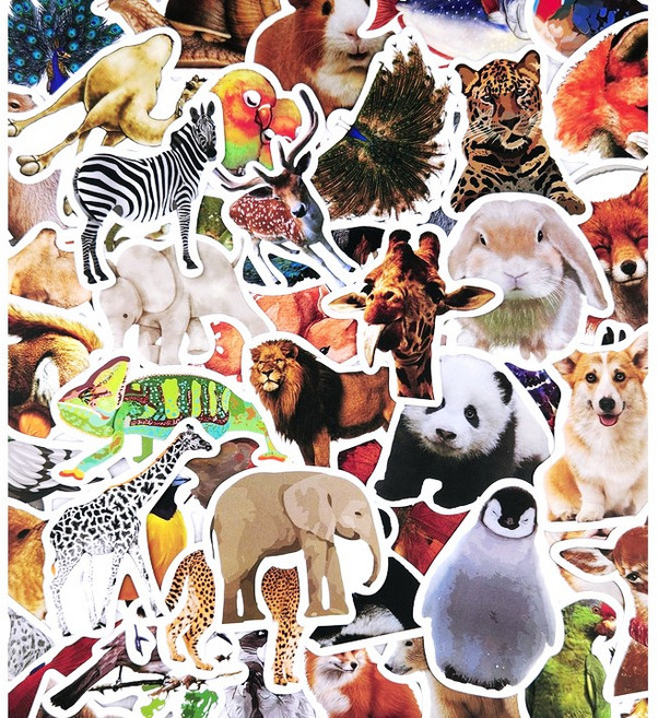 동물 스티커 D형 세트 방수 동물원 실사 일러스트 다꾸, D형/50장(1세트)