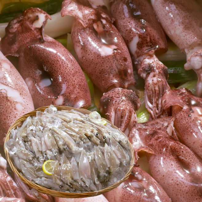 통째먹는 총알한치 TV홈쇼핑 100마리 한입 통찜 숙회, 1세트, 1.2kg