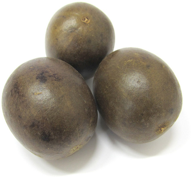 갑당약초 나한과 열매 10과 나한가, 2개