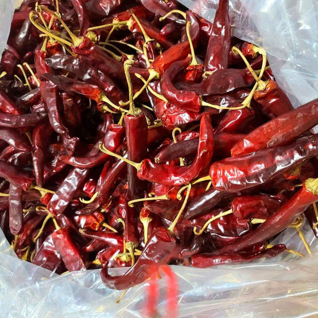 국산 신안 태양초 반태양초 세척 고추 건고추, 태양초건고추, 3kg(반태양초건고추), 1개