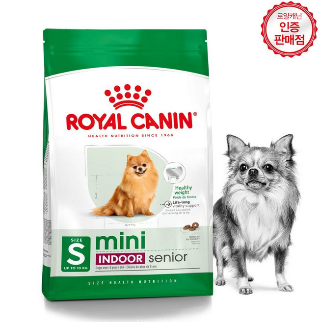 로얄캐닌 미니 인도어 시니어 1kg(500gx2개)강아지 8살 이상 노령견 잘먹는 사료, 500g, 2개