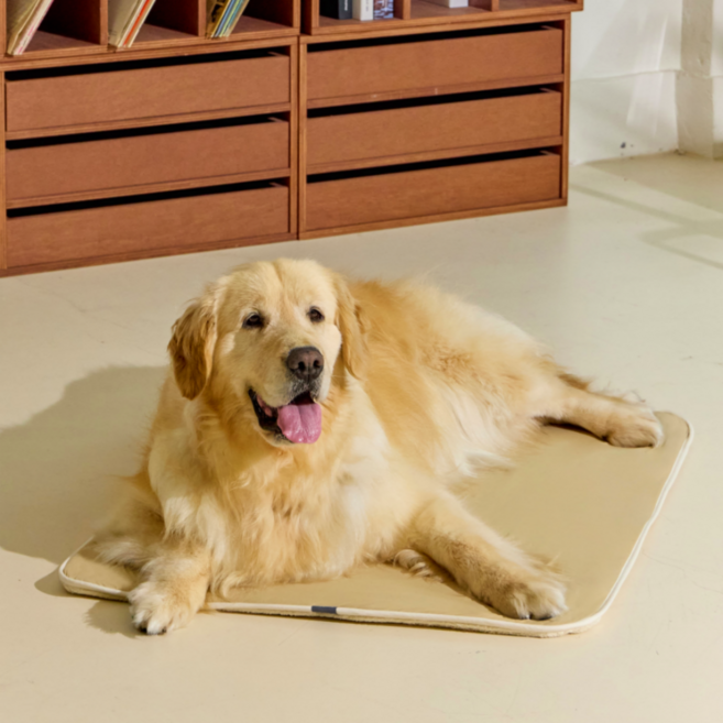 엔젤도그 강아지 쿨매트 개어리즘 쿨방석, 베이지, 1개