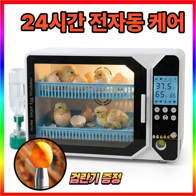 에그루트 손댈 필요없는 전자동 병아리 부화기 인큐베이터 대용량 부화통 계란 메추리알, 1개, 화이트 30구