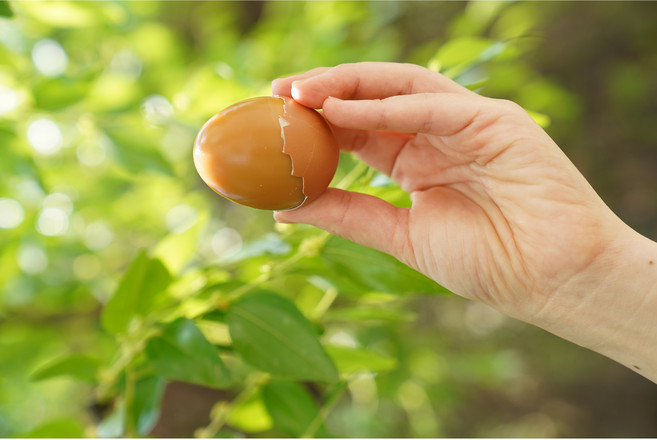 대란 구운계란 HACCP 국내산 구운란, 3개, 30구
