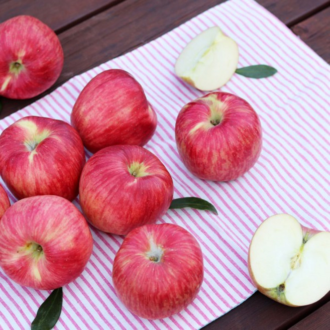 저탄소 gap인증 의성 당도선별 사과 꼬꼬마2kg(11~13입), 1박스