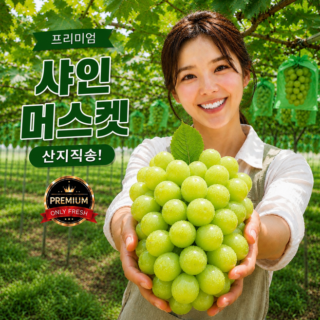 [특품/가정용 특가] 샤인머스켓 씨없는 고당도 포도 제철과일, 1박스, 가정용 1kg(2~3수)