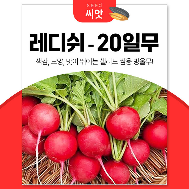 세경팜 건강채소 20일무 레디쉬 씨앗 12g, 1개