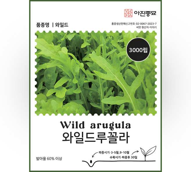 루꼴라 3000립 KS 26년 쌈채소씨앗, 1개