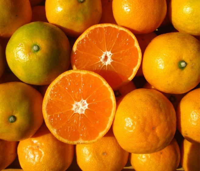 감귤 노지 귤 제주산지직송 겨울간식, 1박스, 5kg