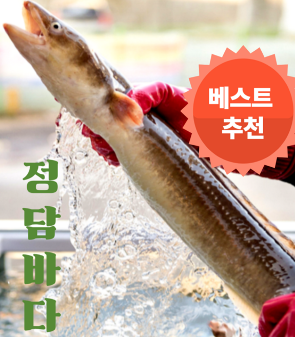 정담바다 힘찬 보양식 자연산 스테미너 활력 특A급 장어 10kg까지 합포장 가능, 1박스, 5kg