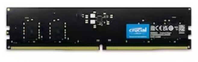마이크론 Crucial DDR5-5600 CL46 대원씨티에스 (16GB), 1개