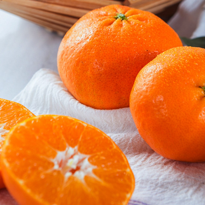 모두의보부상 당도선별 제주직송 고당도 특품 레드향, 1박스, 2kg(중소과)