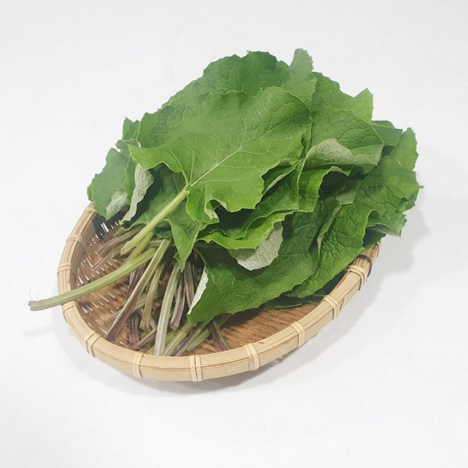 경남 진주 광제골 GAP 하우스 우엉잎 1kg(무선별), 1개, 1kg