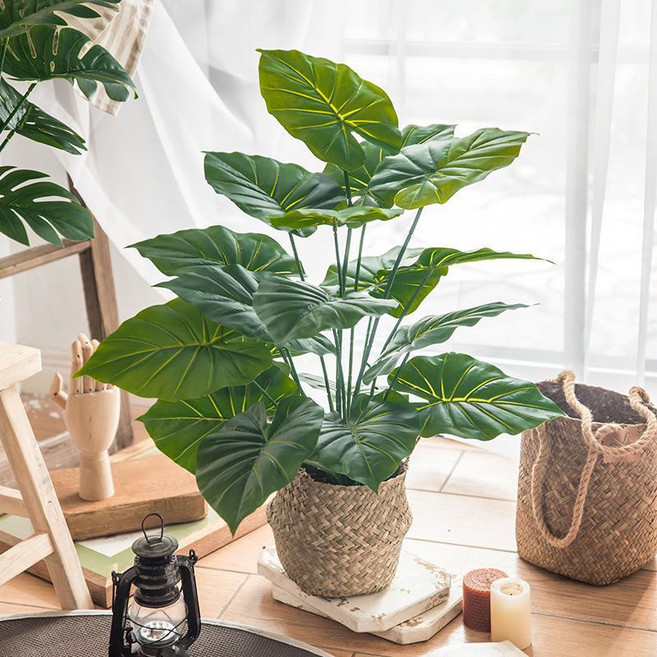 그린 오피스 데스크톱 시뮬레이션 인테리어 화분 식물, 1개, 대암동(높이 약 70CM)