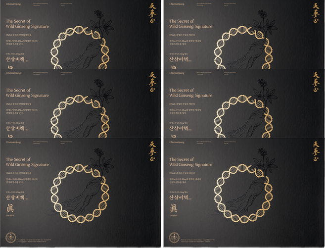 고농축 산삼진액 천삼정 산삼비책진 더 블랙, 6박스, 600ml