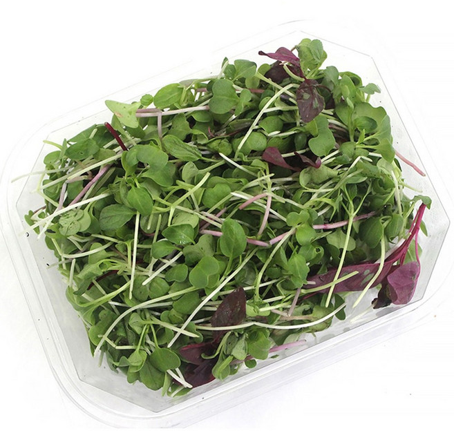 쉐프의정원 어린잎 샐러드 채소, 1개, 500g