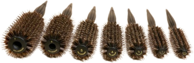 셀리본 프리미엄 롤 포킹 헤어브러쉬, 5호, 1개