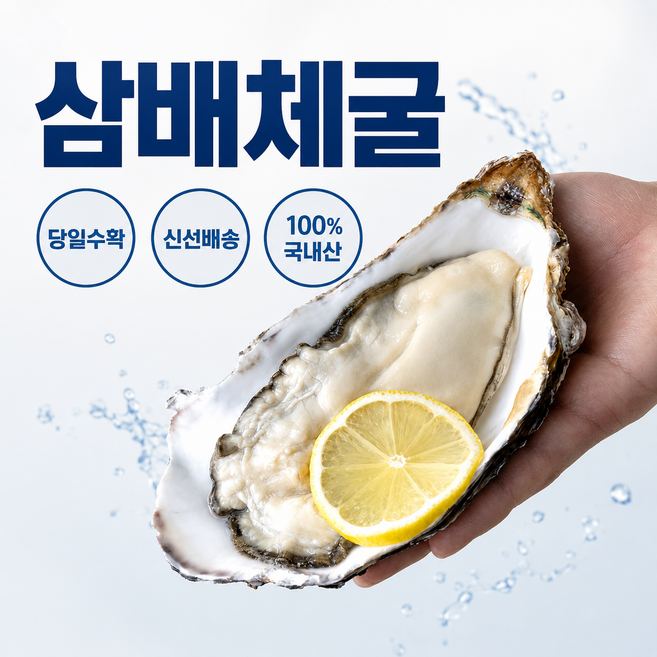 [국내산특품]국내산 통영 삼배체굴 당일수확, 1박스, 1kg