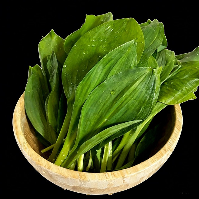 [산지직송]강원도 명이나물 알싸한 산마늘 명이나물 잎명이, 2kg, 1박스