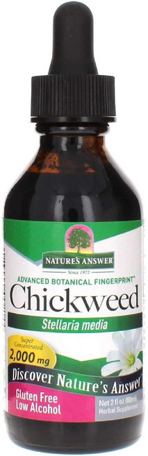 Nature s Answer 별꽃 허브 2액량, 1개, 60ml