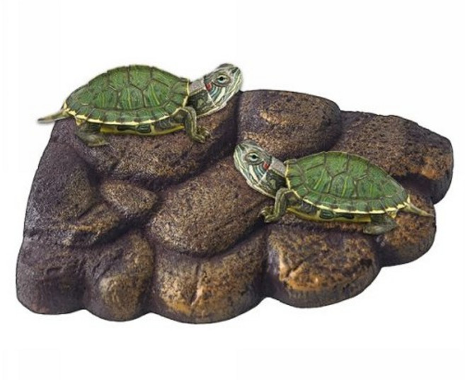 노모이 터틀뱅크 반수생거북이육지 / 살아있는 거북이 아닙니다, L(라지사이즈), 1개