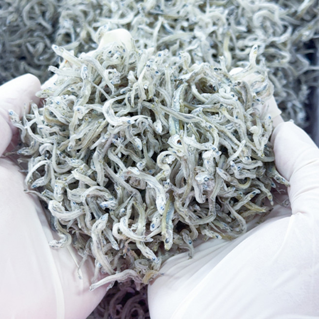 남해 며르치 죽방 세멸(지리멸치), 1개, 100g