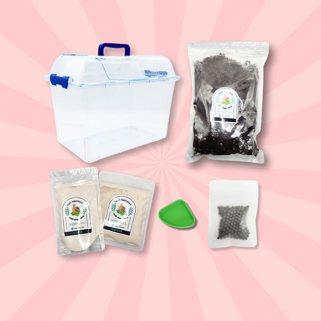 달팽이키우기세트 중형 먹이 칼슘제 사육통 꾸미기세트, 달팽이키우기 중형 검정색 세트, 1세트