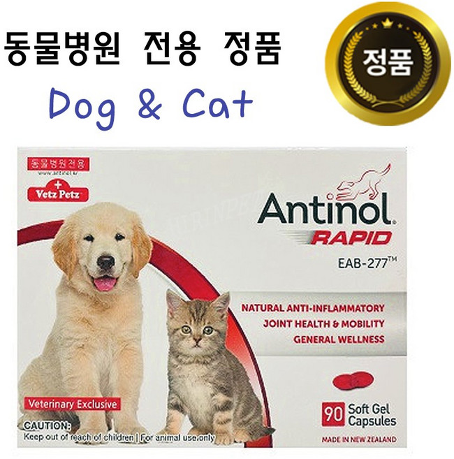 안티놀 래피드 관절영양제 90캡슐, 90정, 뼈/관절강화, 1개