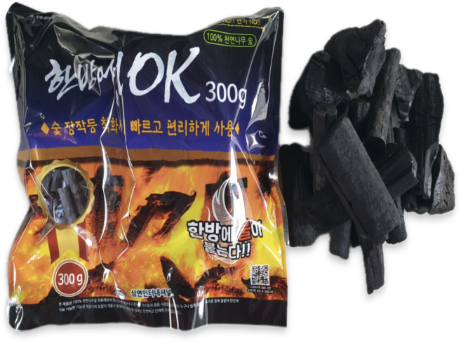 한방에OK 간편점화 착화숯 캠핑 숯불 바베큐 구이용 번개탄 대용, 300g, 10개