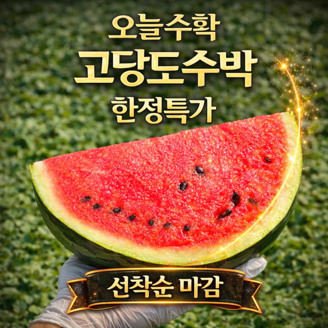 [한정특가] 재구매 폭주 아삭 고당도 꿀수박, 1개, 3kg내외