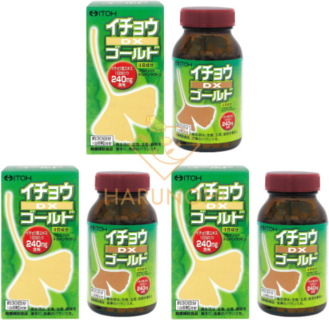 일본 이토 징코 은행잎 추출물 은행 DX 골드 240mg x 240정 3개